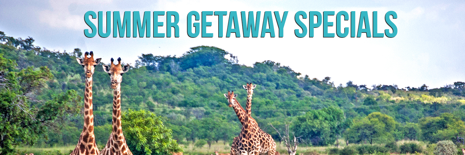 Kedar Heritage Lodge Summer Weekend accommodation specials in rustenburg, north west province
