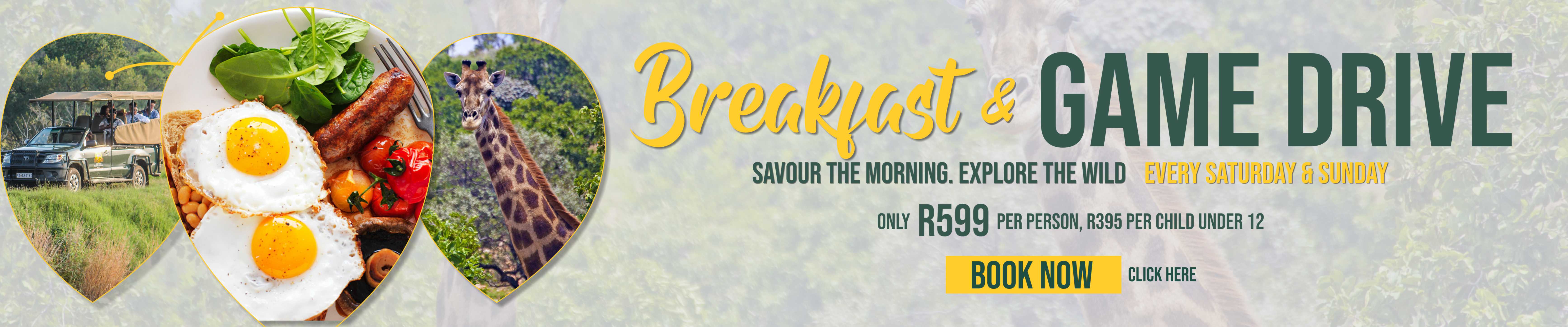 Breakfast and Game Drive at Kedar Heritage Lodge Rustenburg